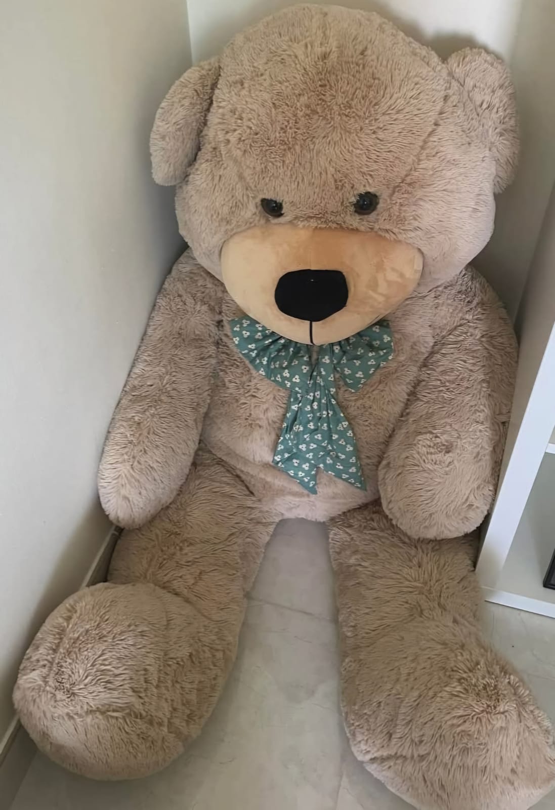 Large Teddy Bear