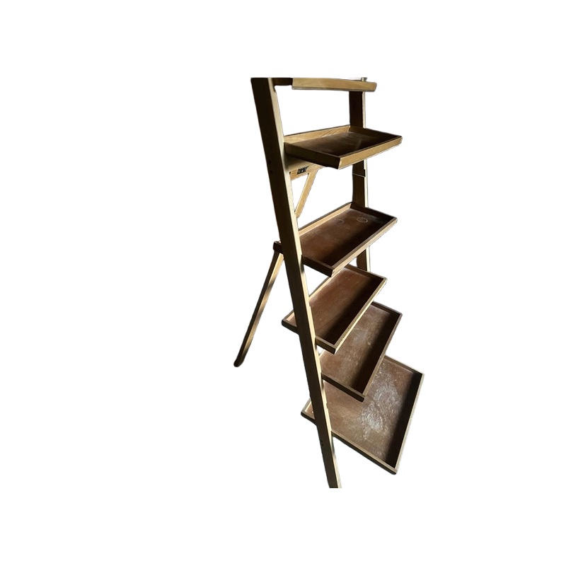 6-Shelf Ladder for Painting